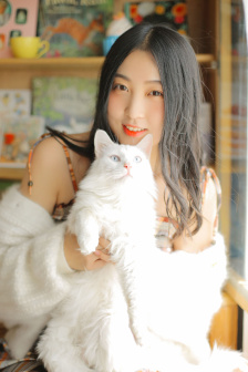 金装四大才子